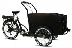 Elektrische bakfietsen