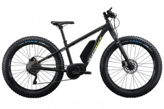 E-Fatbikes