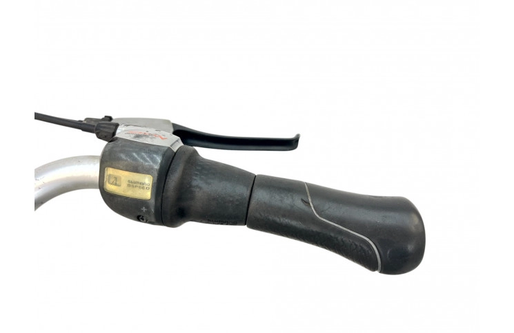 Men's bicycle Gazelle Chamonix 28" 57 cm gray