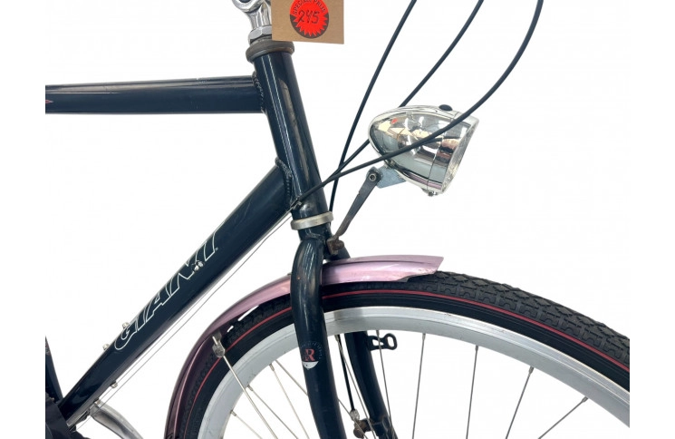 Man's bicycle Giant Freerloer 28" 60