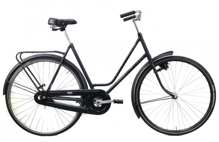 Damesfiets Pointer Magnet