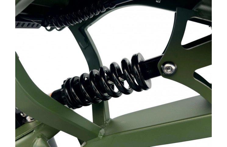 DIABLO E-BIKE, E-ONE, MATT-GREEN, 1000819 ACCU 15AH 48V 720WH