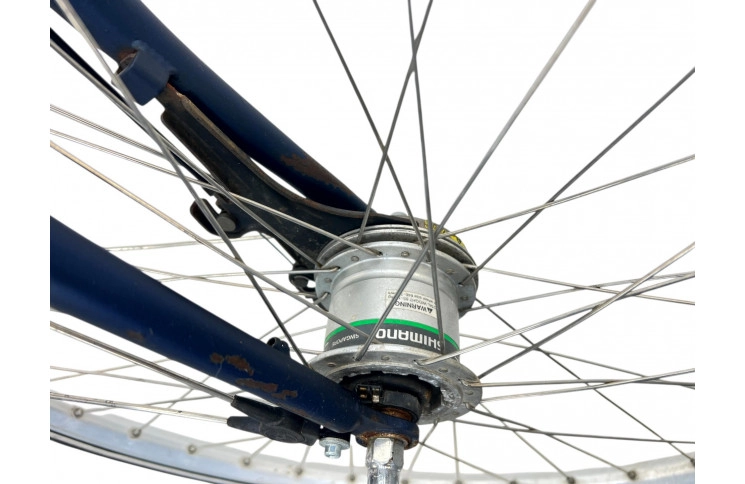 Man's bicycle BATAVUS FLASH blue/28/m/al/sity