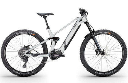 CONWAY Elektrische MTB Full-Suspension eWME 2.0 №1 29"/44cm-M/10/alu raw mat/02810468