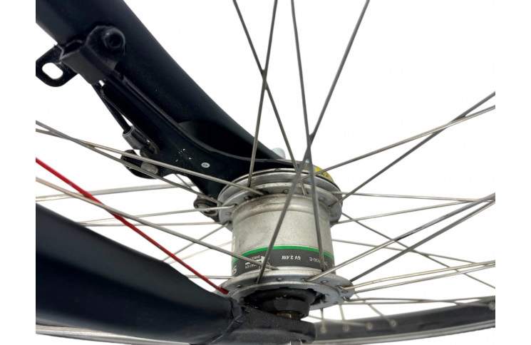 Woman's bicycle Batavus Mambo 28" 54