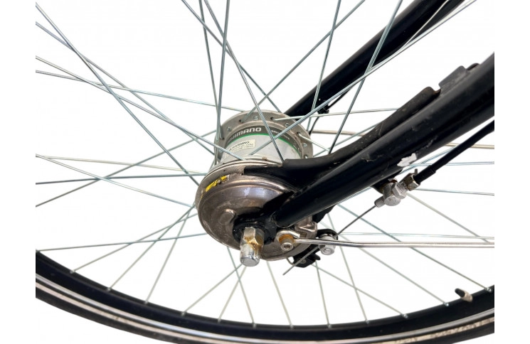 Men's bicycle Batavus Vienna 28" 66 cm gray