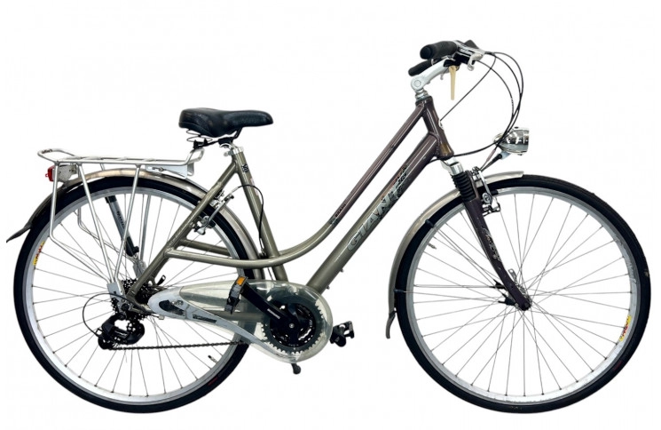 Woman's bicycle Giant Brazil 28" 53