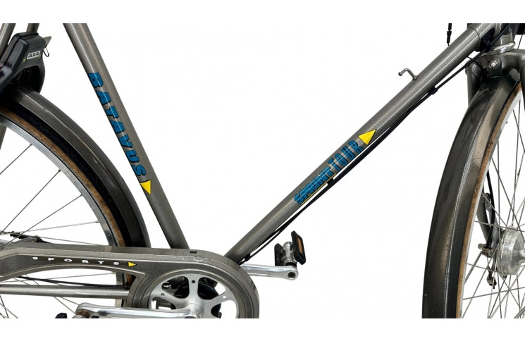 Man's bicycle Batavus Sprint Tour 28"/56cm/Gray