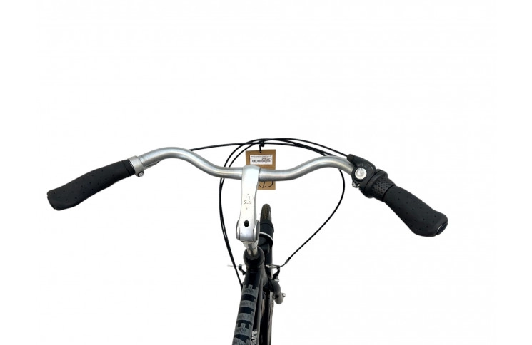 Man's bicycle Gazelle Esprit 28" XL/61