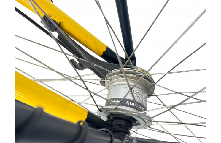 Man's bicycle Gazelle Taxi 28" M/54cm