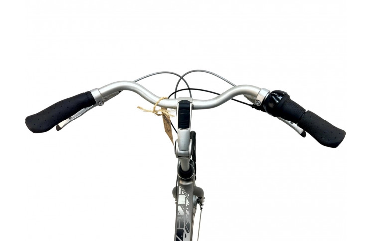 Man's bicycle Gazelle 28"/61cm/Gray