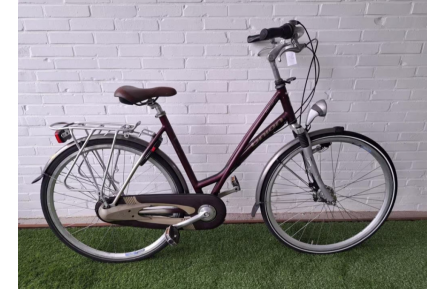 Damesfiets Union Flamingo