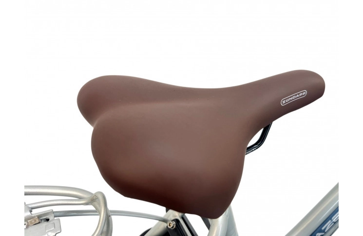 Woman's bicycle Gazelle Xanta W/al/grijs-blauw/28/stad/f53