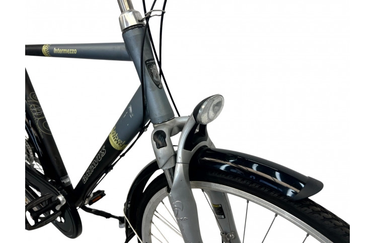 Men's bicycle Batavus Intermezzo 28" 55 cm grey