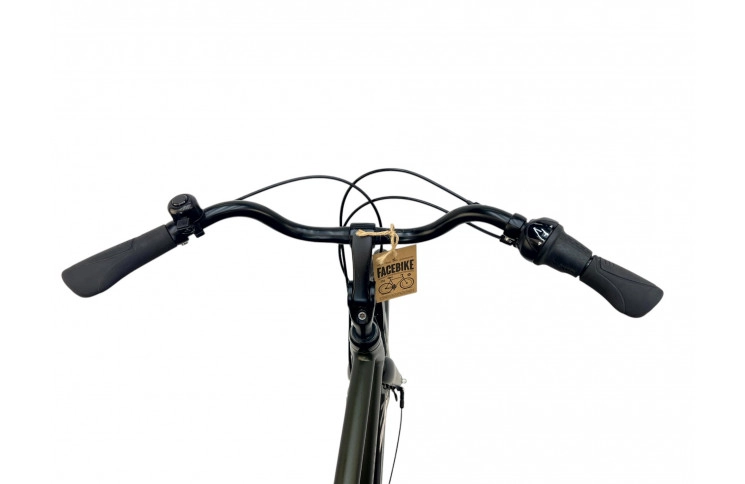 Man's bicycle Batavus Mambo 28"/57cm/green