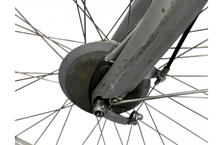 Men's bicycle Batavus Intermezzo 28" 55 cm grey