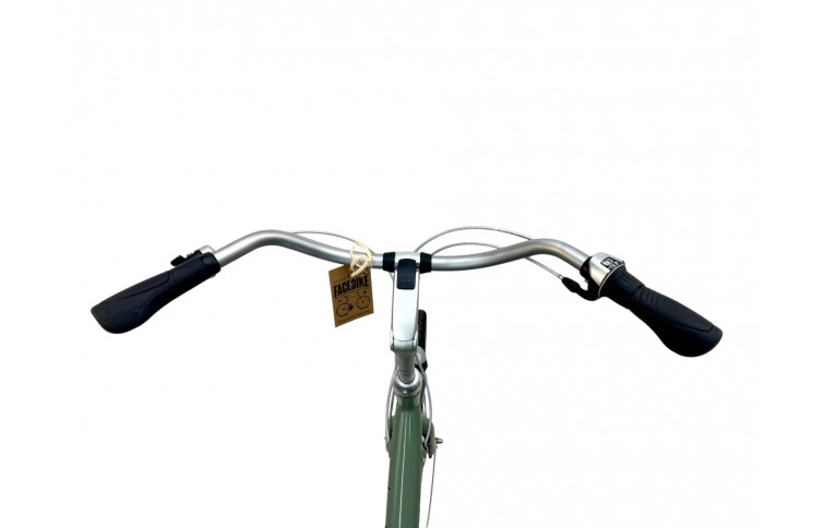 Woman's bicycle Batavus Rumba 28"/57cm/Green