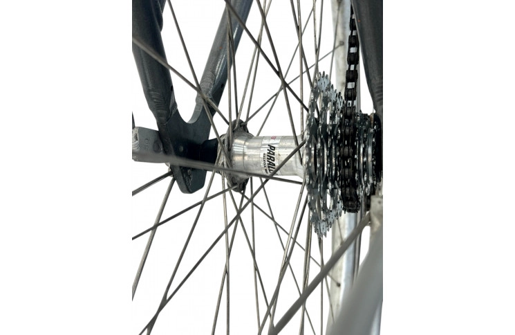 Woman's bicycle Gazelle Medeo 28" 55