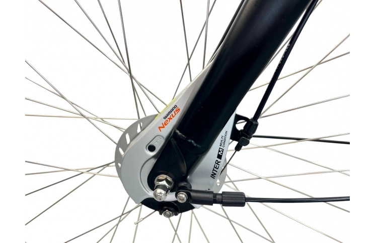 Man's bicycle Batavus Mambo 28"/57cm/green