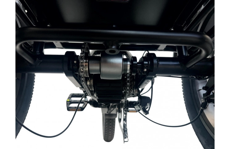 DIABLO E-BIKE, BIG FOOT, MATT-BLACK, 2x 1000692 ACCU 48V 10.4AH  499,2WH