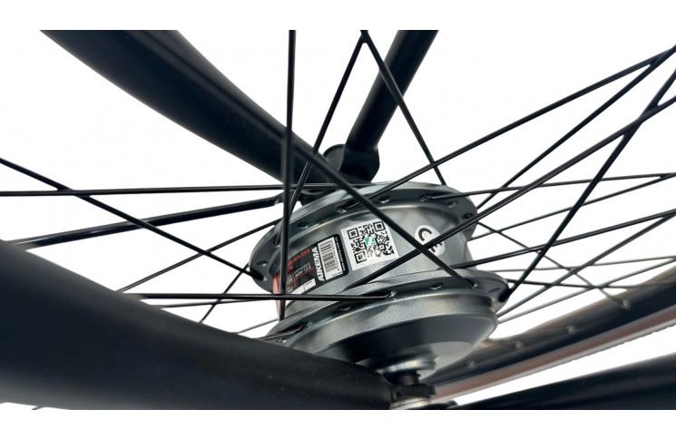 Damesfiets Avalon E-Cargo N7 28"/50cm/Zwart/36V 15Ah 540Wh