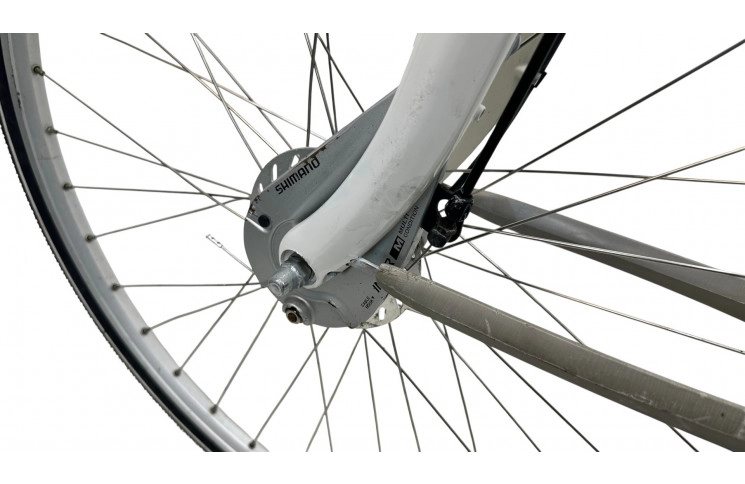 Woman's bicycle Batavus Mambo 28"/53cm/White