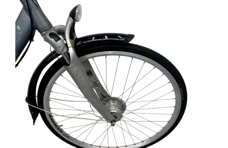 Men's bicycle Batavus Intermezzo 28" 55 cm grey