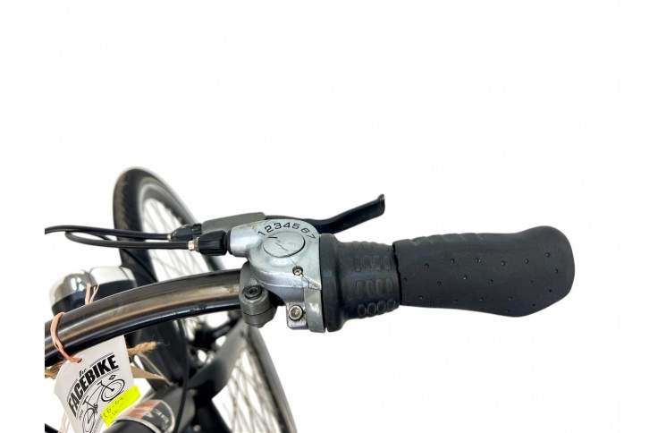 Damesfiets Beick 28" 50cm