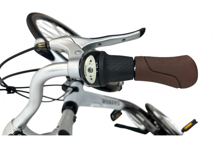 Damesfiets Gazelle Orange C8 28"/49cm/Grijs