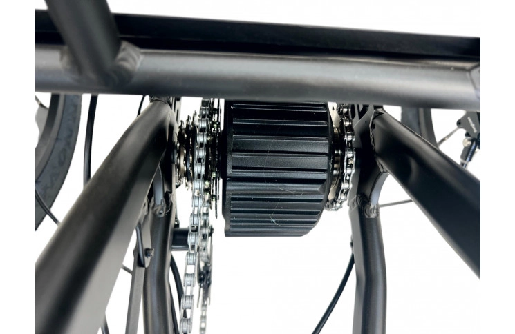 DIABLO E-BIKE, BIG FOOT, MATT-BLACK, 2x 1000692 ACCU 48V 10.4AH  499,2WH