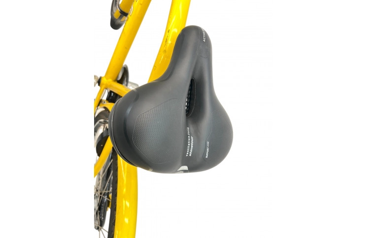 Man's bicycle Gazelle Taxi 28" M/54cm