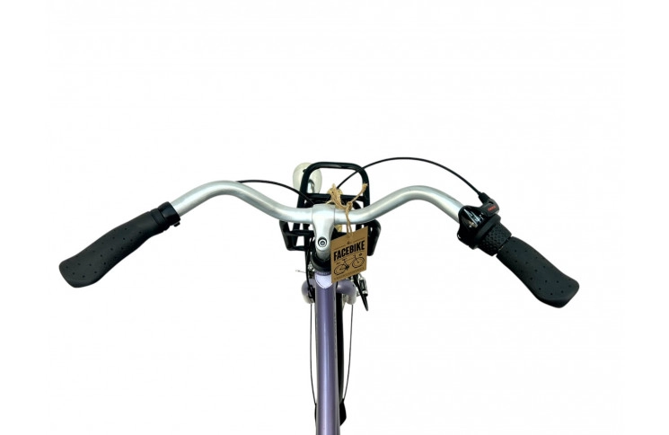 Girls bicycle Batavus Diva M/al/viol/24/tranp/f39