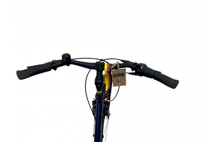 Damesfiets Rabeneick TC2 Waves Shi Nexus 8S / HS11 / 45