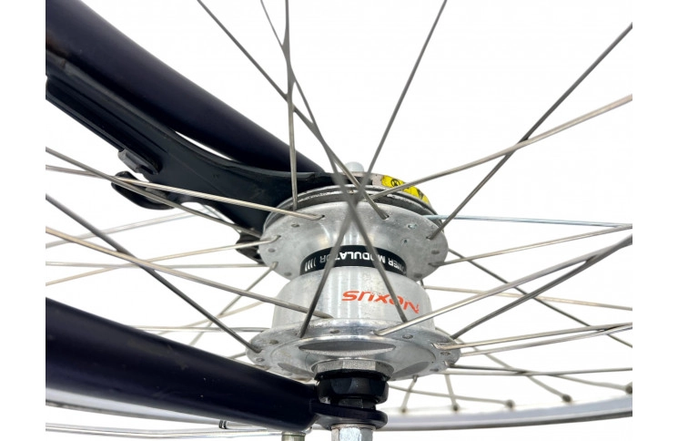 Woman's bicycle Batavus Legato D/al/Blauw/28/F54cm