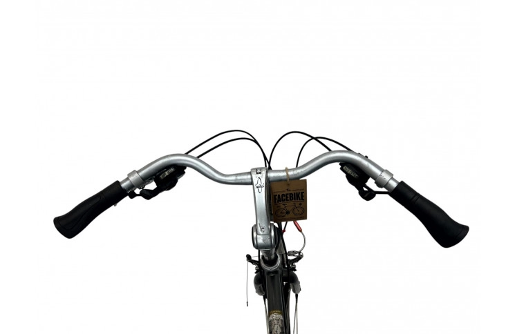 Herenfiets Gazelle Medeo 28" 57