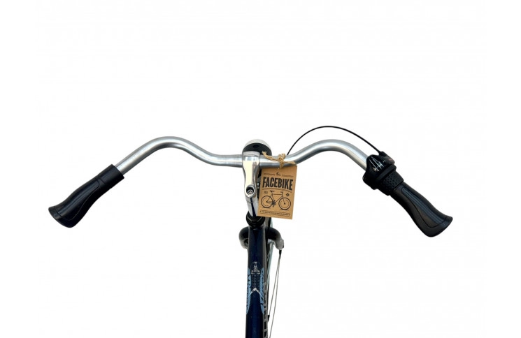 Herenfiets Raleigh Mirror 28" 57