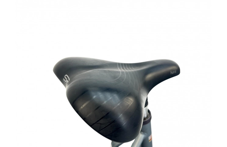 Women's bicycle Batavus Boston 28" 53 gray