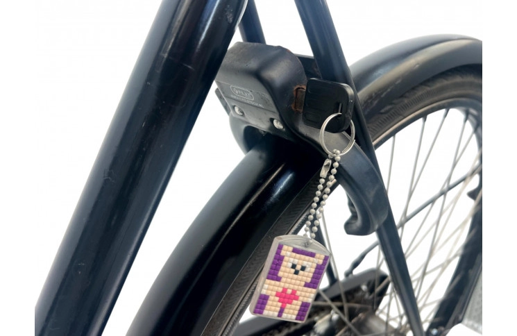 Damesfiets Nederland 28" 48