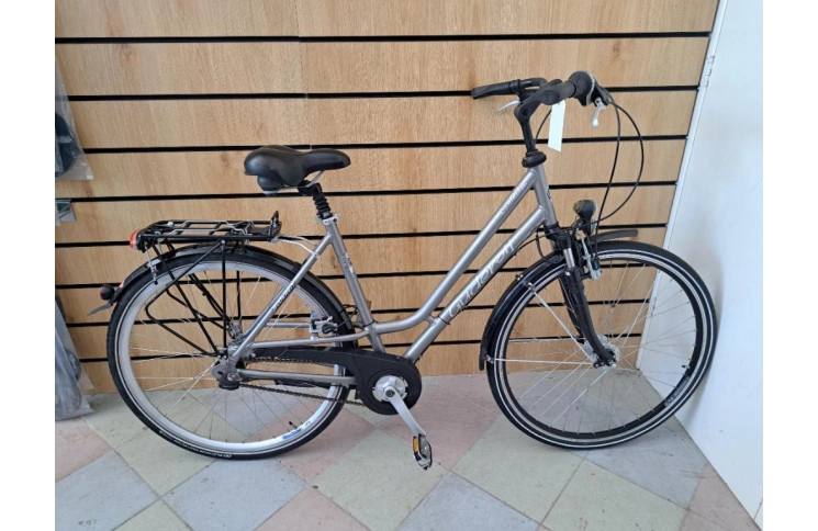 Woman's bicycle Gudereit Comfort