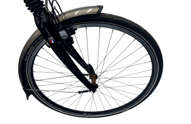 Damesfiets Multi Cycle 28" 50