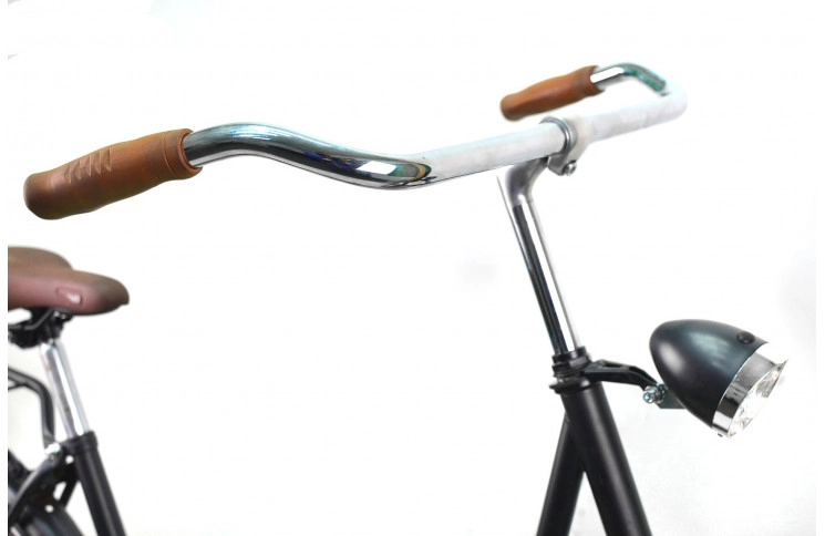 Woman`s bike Gazelle Basic