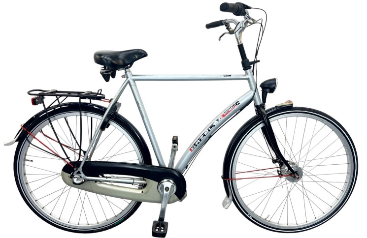 Man's bicycle Gazelle Swing 28"/61cm/gray