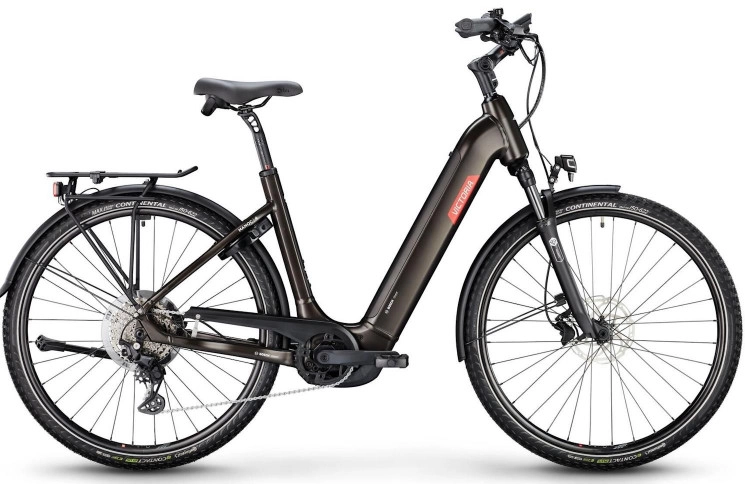 VICTORIA Electric trekking bike Manoc 4 №1 28"/54cm-L/10/warm anthracite matt/02920351