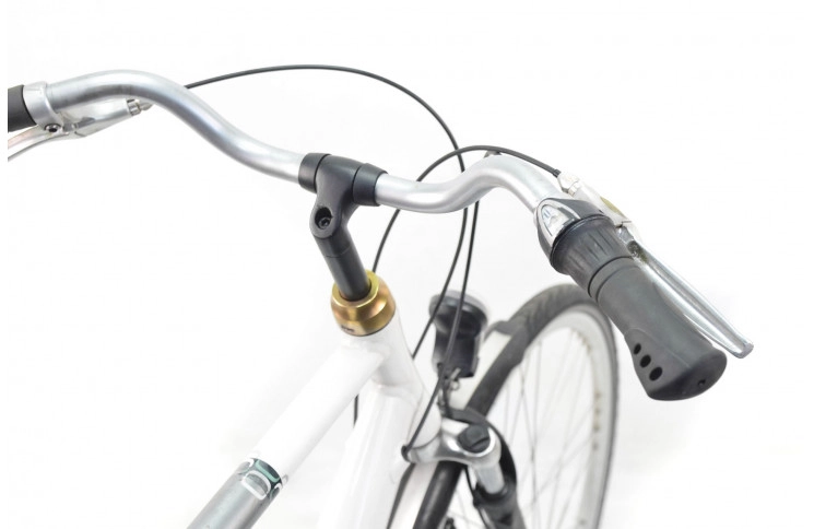 Men's bicycle Batavus Tango 28" 65 gray-white