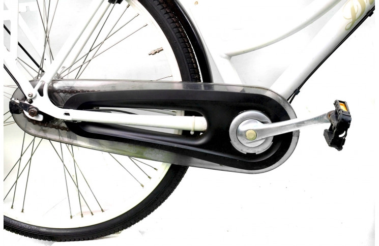 Woman`s bike Batavus Diva