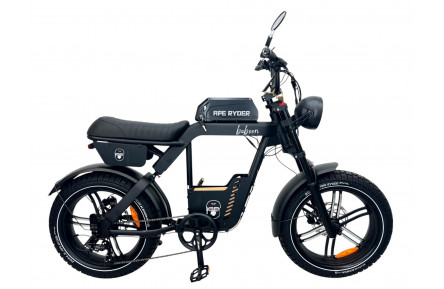 E-BIKE DIABLO BABOON 20" matt black (48V 15Ah 696Wh)