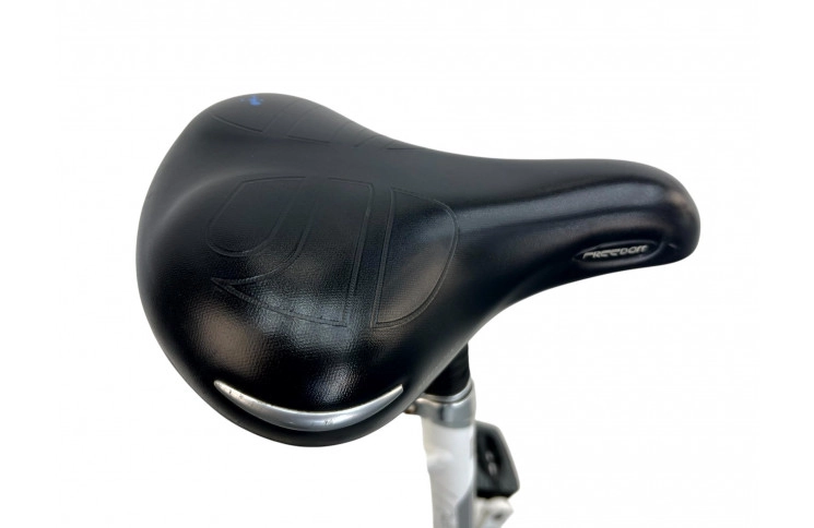 Damesfiets Giant Ultimo 28"/55cm/Grijs-wit