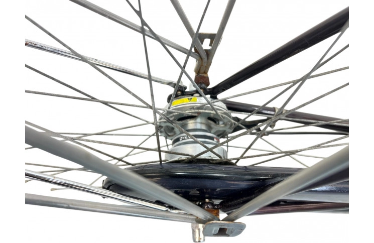 Woman's bicycle Sparta 28"/55cm/Brown