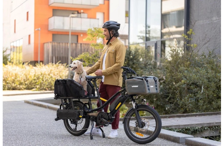 Compact Yuba FastRack Family Edition 20" Latte 2024