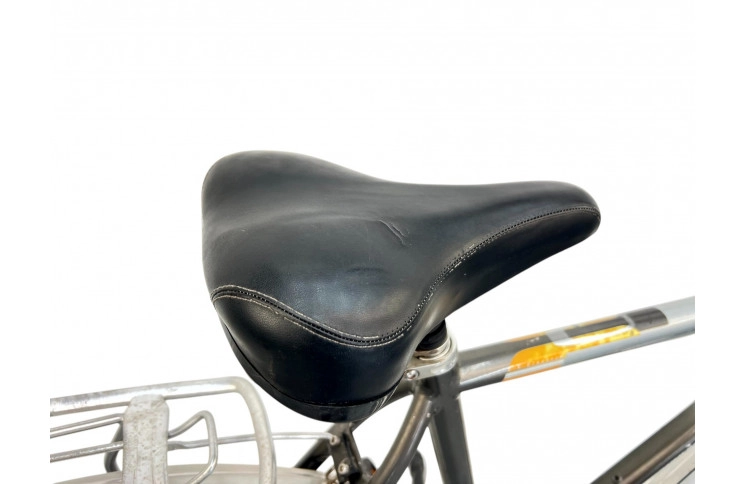 Men's bicycle Gazelle Chamonix 28" 57 cm gray